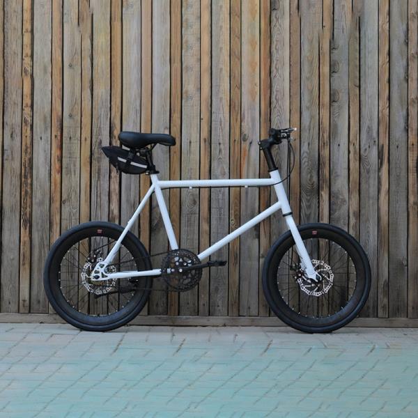 해외 무료배송 20 inch 자전거 단일 속도 fixie 자전거 dsic 20 inch 자전거 freewheel 프레임 미니 자전거 맞는 높이 155cm 180cm
