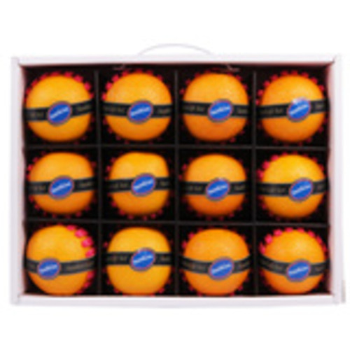 4시이전 당일배송 무료배송 코스트코 썬키스트 호주 네이블 오렌지 선물세트 12입 (4kg )