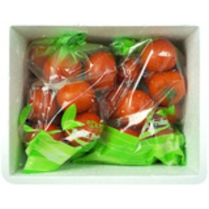 4시이전 당일배송 무료배송 코스트코 토마토 5kg