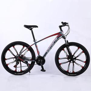 해외 무료배송 24 인치 알루미늄 합금 프레임 산악 자전거 기계 더블 디스크 브레이크 자전거